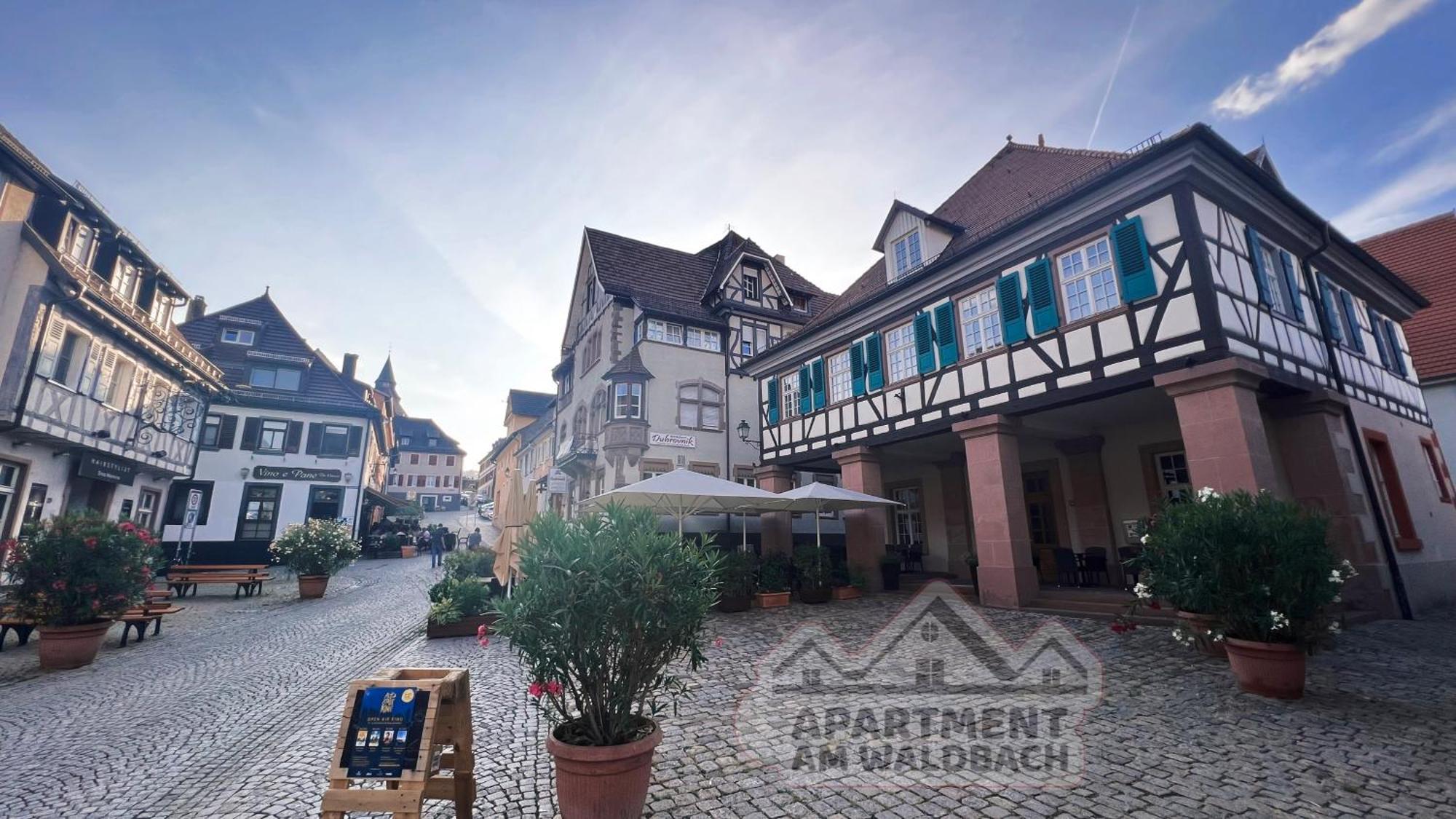Apartment Am Waldbach Гернсбах Экстерьер фото