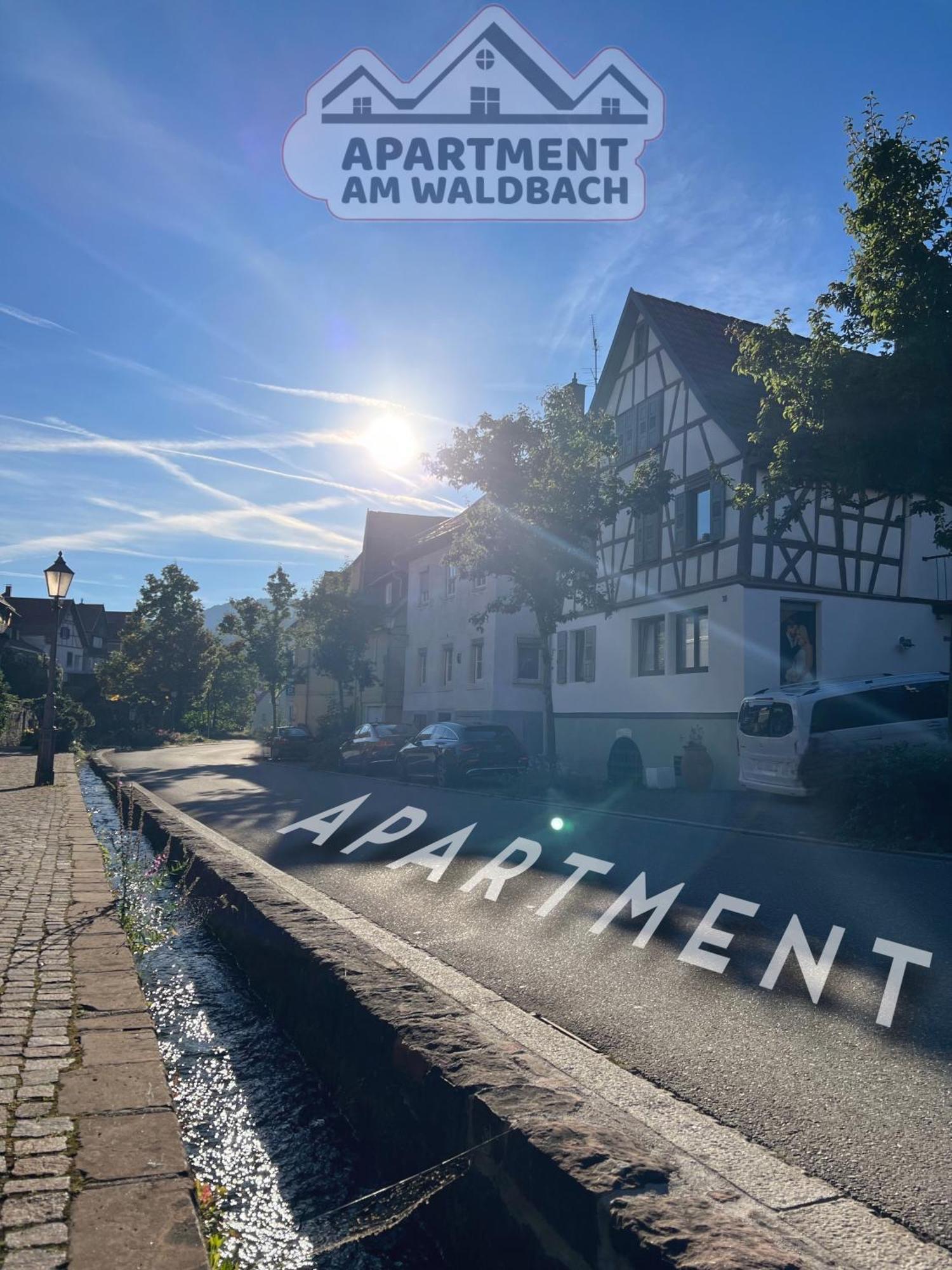 Apartment Am Waldbach Гернсбах Экстерьер фото
