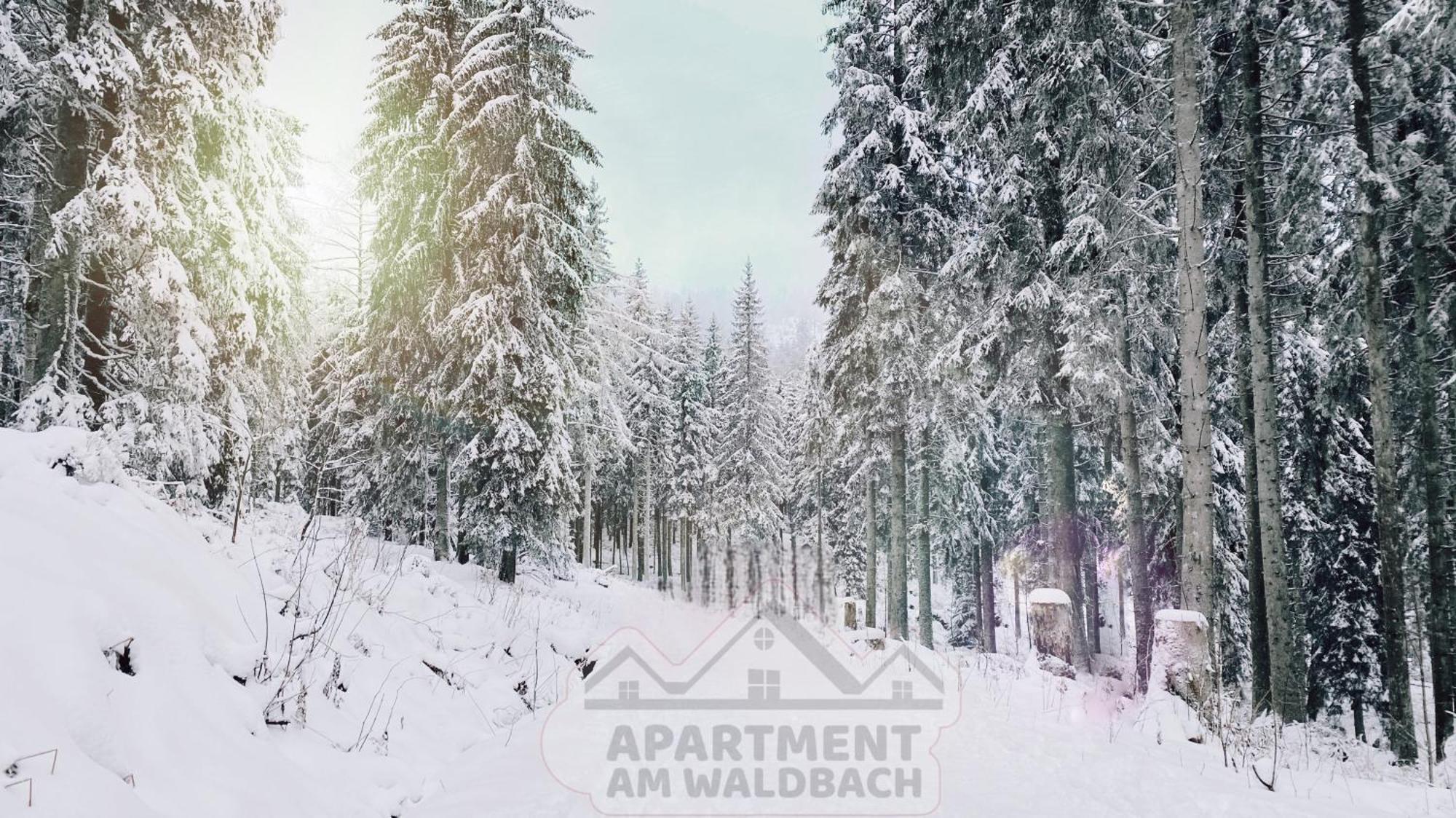 Apartment Am Waldbach Гернсбах Экстерьер фото